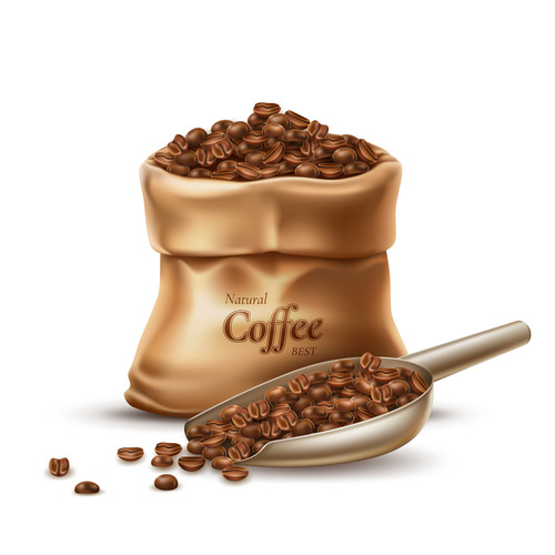 Coffee beans vector
