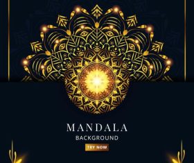 Design mandala decorative background vector