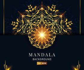 Luxury glitter decorative mandala vector