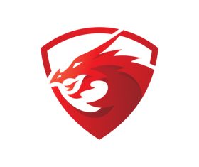 Dragon shield logo design vector