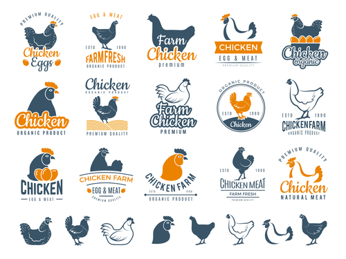 Farm chicken vector label