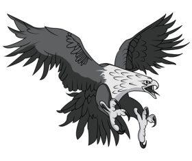 Hand drawn eagle vector