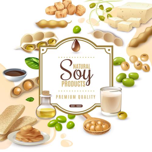 Healthy soy food vector