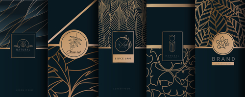 Luxury logo gold packaging vector