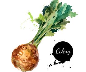 Vegetables watercolor painting vector