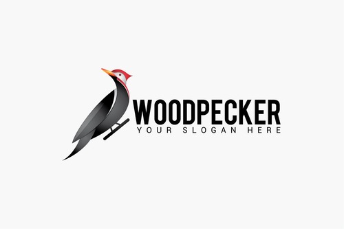 Woodpecker logo vector