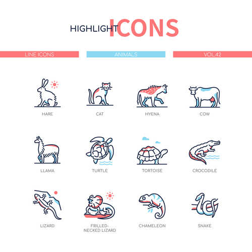 Animals collection line design style icons vector