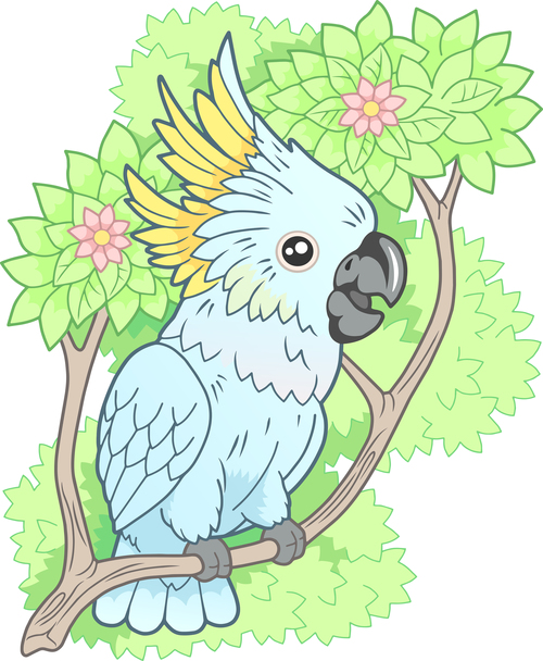 Cockatoo vector illustration