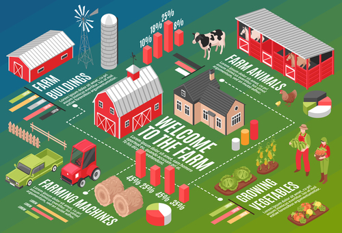 Farm horizontal illustration vector