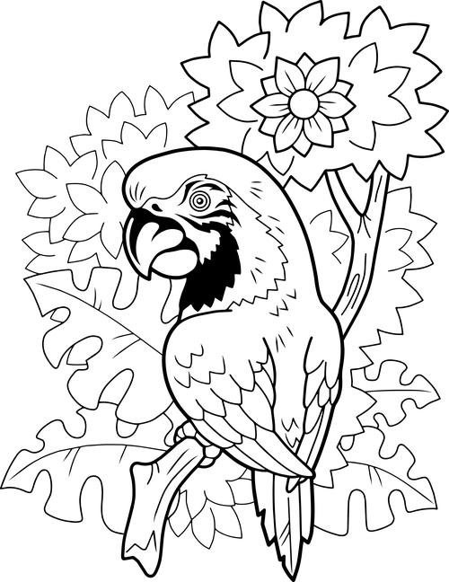 Flower and parrot black and white drawing vector illustration