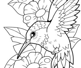 Hummingbird black and white drawing vector illustration