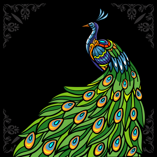 Pretty peacock vector
