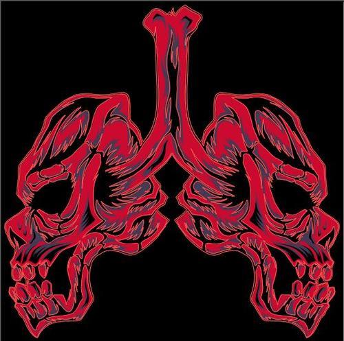 Skull lungs vector