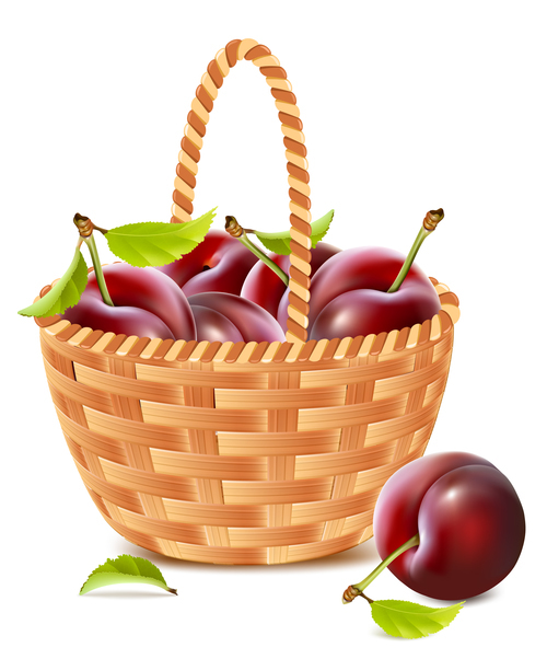 Cherry vector illustration in a bamboo basket