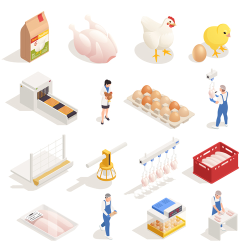 Chicken farm concept illustration vector