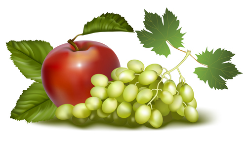 Fresh green raisins and apples vector illustration
