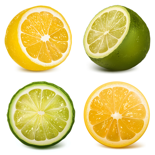 Green citrus and citrus vector