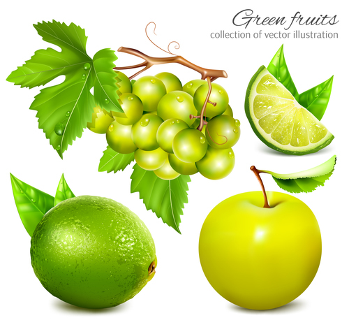 Green fruits collection vector illustration