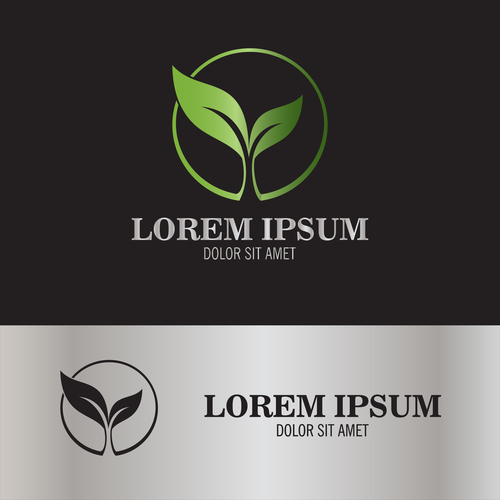 Leaf seed logo vector