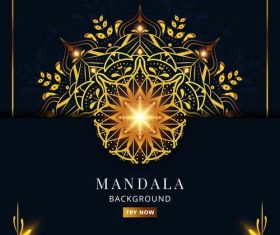 Luxury glitter decorative mandala vector