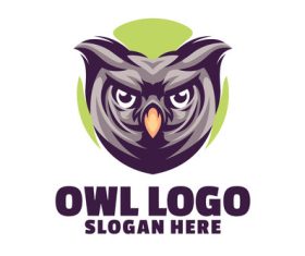 Owl Head Mascot Logo vector