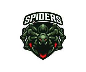Spider Logo Template vector
