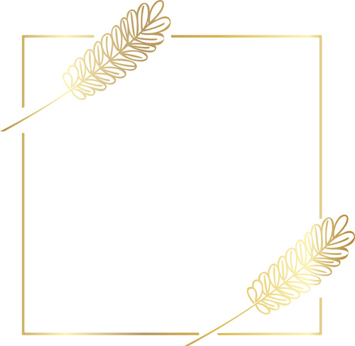 Square golden frame vector