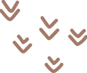 Symbol vector