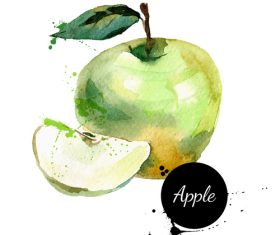 Apple watercolor painting vector