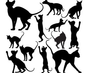 Cat silhouette vector