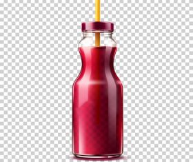 Fruit juice vector