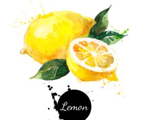 Lemon watercolor painting vector