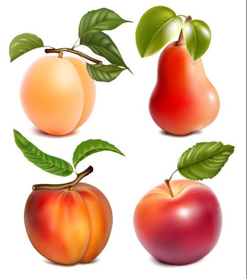 Peach pear apple vector illustration