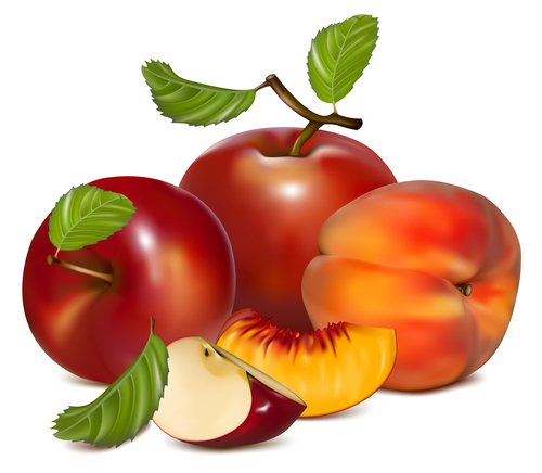 Please taste fresh fruit vector illustration