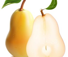 Sliced pear vector illustration