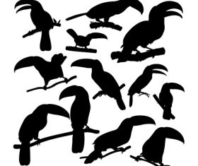 Toucan bird animal silhouettes vector
