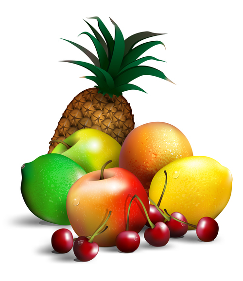 fruits vector png