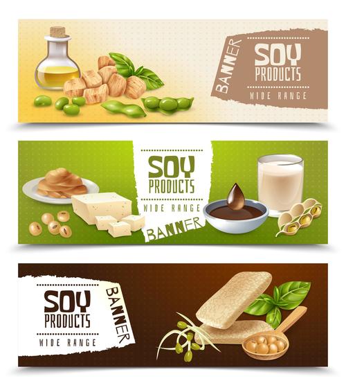 Banner various soy food vector