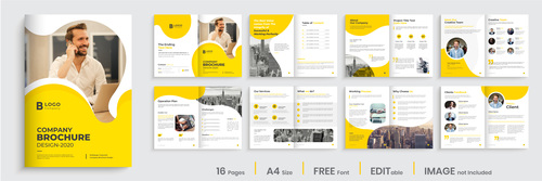 Brochure creative template layout vector