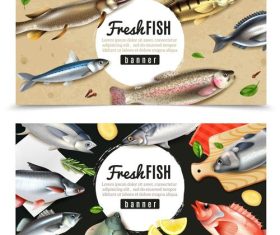 Fresh fish banner vector