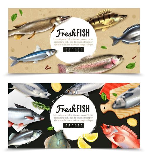 Fresh fish banner vector