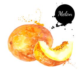 Watercolor fruit vector