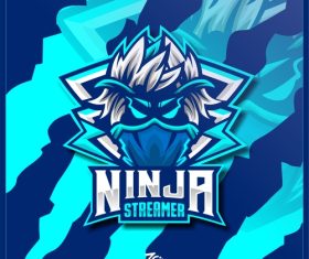 Ninja streamer icon vector