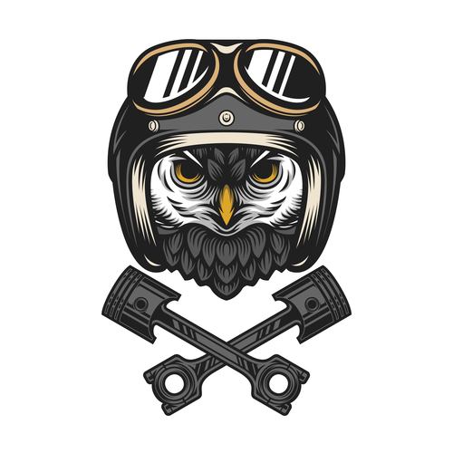 Owl ride vector