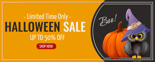 Owl sorcery hat pumpkin vector illustration banner sale