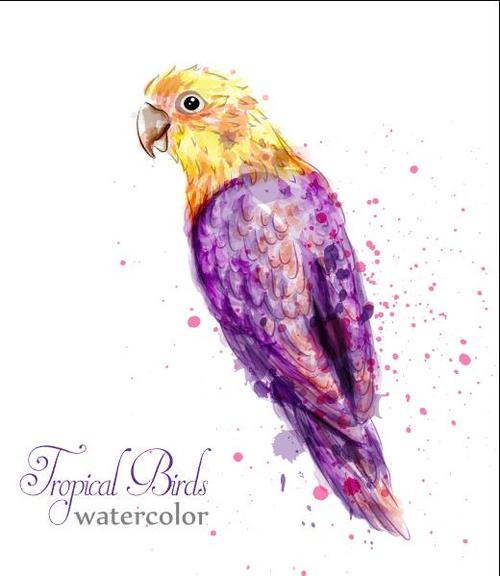 Parrot watercolor painting vector