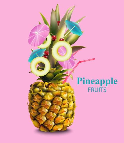 Pineapple fruits illustration vector