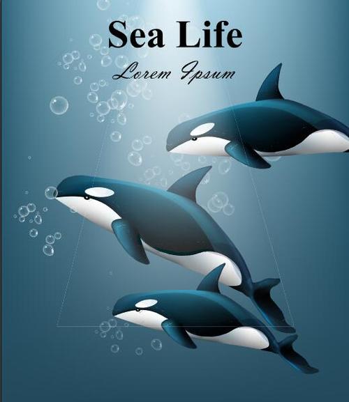 Sea life cartoon illustration vector