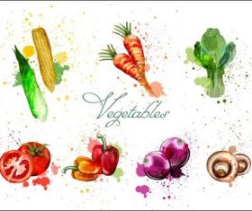 Watercolor painting vegetable vector