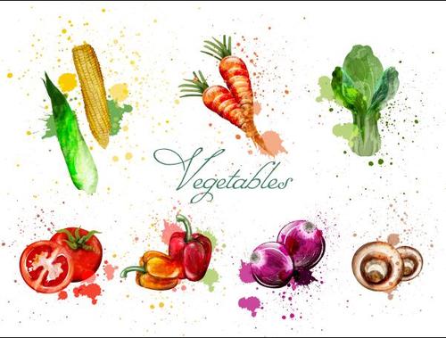Watercolor painting vegetable vector
